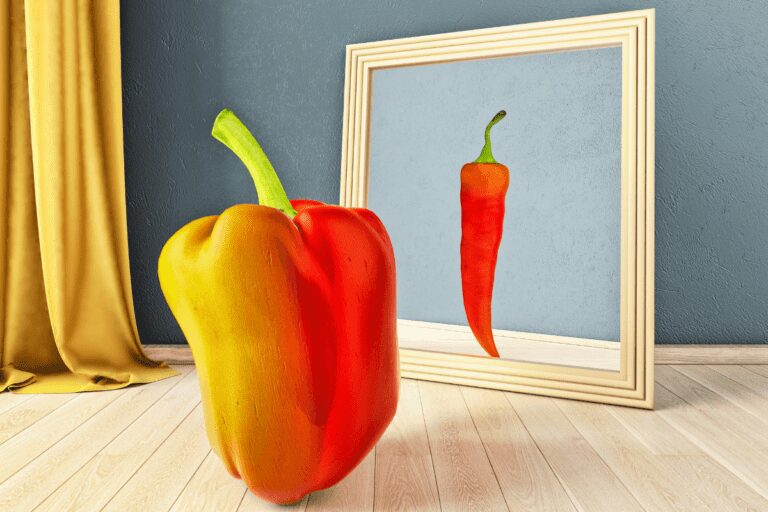 Comer Intuitivo e Autoaceitação